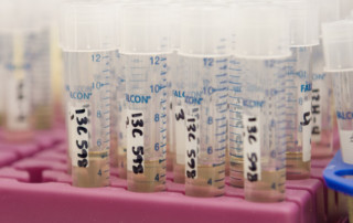 Lab Test Tubes